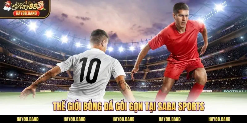 Thế giới bóng đá gói gọn tại SABA Sports Thế giới bóng đá gói gọn tại SABA Sports